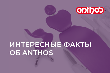 Интересные факты о бренде Anthos