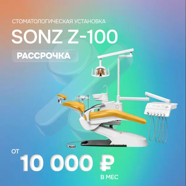 SONZ 100 - от 10 000 ₽ в месяц
