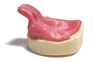 Полимерная смола Dental Pink 1кг - Фото 4